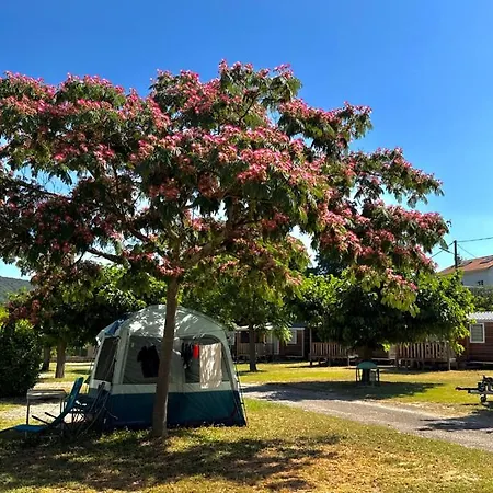 캠프장 Camping Amelia 아멜리에레방팔랄다